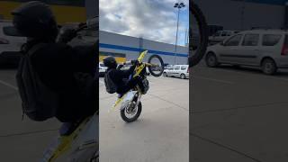 Тгк: спортсмены что-ли? #suzuki #rmz450 #bold #wheelieboyz #stuntteam #stunt #wheelie #motorcycle