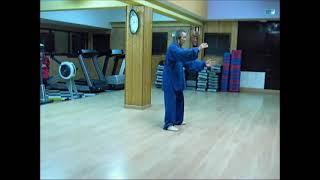 Old Yang Style Taijiquan. 37 Yang Family Neigong Forms by Master Zhang Xiumu. (3/6)