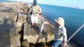 GOPRO JERRY QUIDLAT CATCHING KINGFISH AT THE SPI JETTY