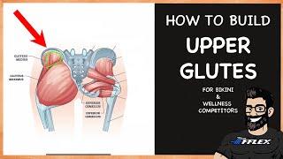 How to Build UPPER GLUTES for Bikini & Wellness | FREE Mini Course for Beginners |