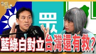 極端支持者嚇壞一般人！ 政治冷感其實是常態？    ft.資深媒體人 黃暐瀚 @hance63  | 斐姨所思【阿姨想知道】 EP 176