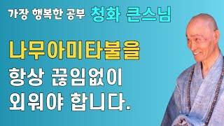 나무아미타불을 끊임없이 염불해야 합니다 나무아미타불을 항상 외워야 합니다 | 청화스님 법문