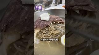 10cm도 찾아먹는 평양냉면 을밀대