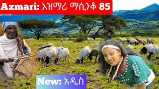 Ethiopia: ምርጥ የአገር ትዝታ አዝማሪ ማሲንቆ - Azmari Masinko | Best Ethiopian Azmari Music Part 85