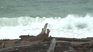 Power outages begin as winds pick up on Vancouver Island