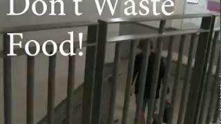 ***Food Waste PSA | Tucker Orman/Caleb Ely