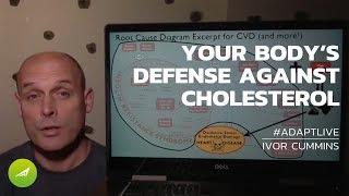 How The Human Body Defends Against Harmful Cholesterol — Ivor Cummins