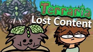 Looking Back at Console Terraria