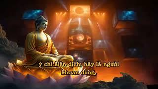 Tri Ân & Tha Thứ – Bí Quyết Giữ Tâm Hồn Thanh Thản