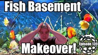 Aquarium Basement Makeover: Updates on Everything!