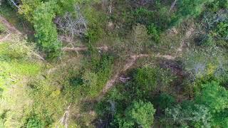 $500 Down acreage by Springfield, MO - InstantAcres.com - ID#CG18
