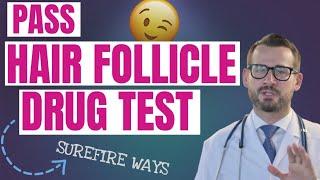 Guaranteed Ways to Pass a Hair Follicle Drug Test | Green Fleets