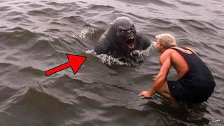 30 Strange Creatures That Were Caught on Camera.