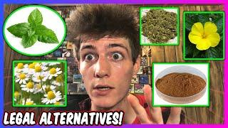 Best Legal Weed Alternatives!  Smokable Herbs & Herbal Smoke Blends