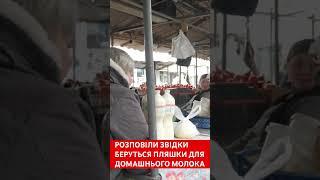 «Ми п‘ємо та даємо»: на Луцькому ринку розповіли звідки береться тара для молока #ринок #молоко