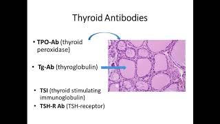 2016: Interpreting Abnormal Thyroid Function Tests & Understanding Indications for Treatment