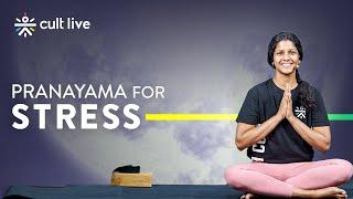 Pranayama For Stress | Yoga For Stress Relief | Yoga At Home | Yoga For Beginners | Cult Live