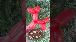 Balloon Dog @balloon daisy clown Balloon Animals for Beginners