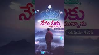 భయపడకుము నేను నీకు తోడైయున్నాను / #shorts #telugu #love #jesus #viralvideo #youtubeshorts #bible