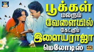 பூக்கள் மலரும் வேளையில் கேட்கும் இளையராஜா மெலோடிஸ் | 80s Ilayaraja Melodies | Ilayaraja Hits