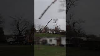 Hazardous Tree Removal Timelapse #treework #arborist #trees #treeremoval