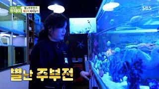 [별주부전] "집 안에 바다가 있다?" 별난주부의 해수어 육아일기!