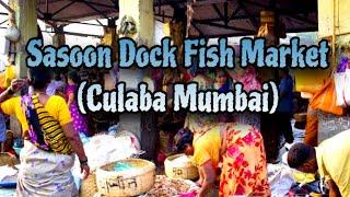 sassoon dock fish market | sassoon dock fish market latest video