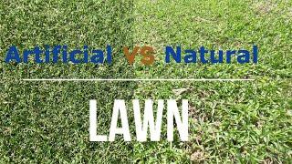 Natural lawn vs Artificial lawn the PROS & CONS by Ian Wilson Landscape Designer