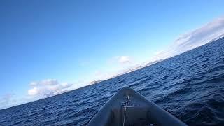 360 Saltenfjorden 160319 - Saltstraumen - Bodø, Salten, Nordland, Norway - Tornado Rib 9,5