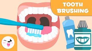 How to Brush Your Teeth - Tooth Brushing for Kids