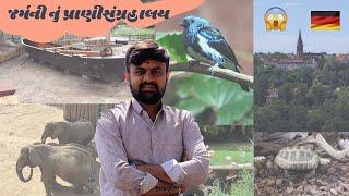  અમે બધા પ્રાણીસંગરાલય જોવા ગયા ! એ પણ જર્મની નું ️|| બોવજ મજા આવી || #rutvikahir #germany