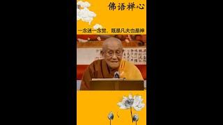 一念迷一念觉，既是凡夫也是坲#禅悟人生 #禅缘佛语 #修心修行 #佛语心静