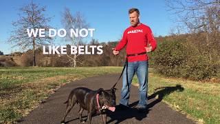 THE GEARTAC K9 HANDS FREE DOG WALKING LEASH VS. THE WAIST BELT