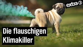 Tierisch umstritten: Haustiere und Umwelt | extra 3 | NDR