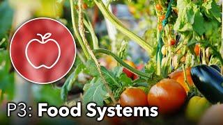 The Off Grid Guide - Part 3 | Food