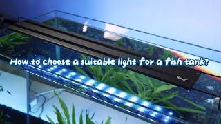 How to choose a suitable light for a deep fish tank?