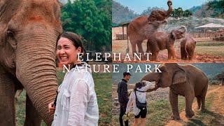 Spending the Night Amongst Elephants in Thailand: ELEPHANT NATURE PARK