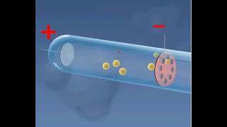 Discovery of proton | Atomic Theory