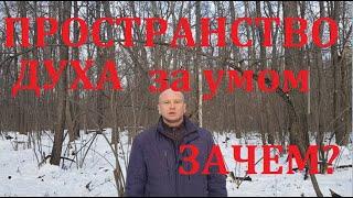 Пространство духа за умом. Тональ, нагваль.