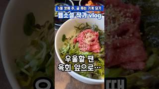글럼프인가…? | 덜컹덜컹 우당탕탕 프리랜서 웹소설 작가 인생 | 프리랜서 브이로그 | 매일 기록 | 미라클 모닝 실패 | 카페 출근 | 꽃가루 알러지