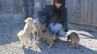 Mama Cosima mit Kiddies Clarina, Campari, Caipi, Cixi, Clint, Crosby, Calvino + Clemens