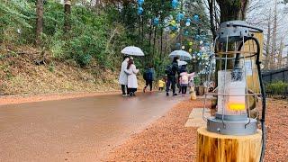 Moominvalley park saitama, japan/  ムーミンバレーパーク　埼玉県