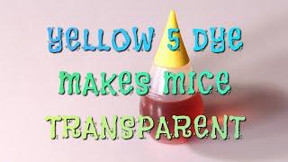 YELLOW 5 DYE MAKES MICE TRANSPARENT...