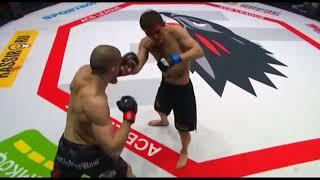 Best Crazy Moments in UFC  HD Legends of MMA