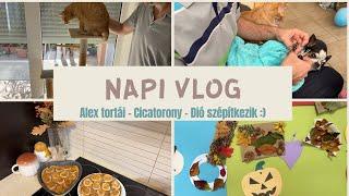 NapiVlog (szept. 28. - okt. 3. ) - Alex tortái  - Cicatorony - Dió szépítkezik 