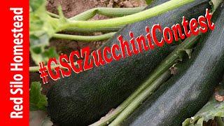 Garden State Gardener Zucchini Contest Entry Video |#GSGzucchiniContest