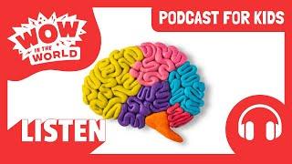 What is "Mind Blindness?!" | Wow in the World | Podcast for Kids | Tinkercast