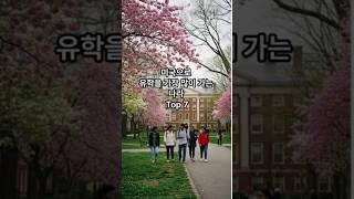 미국으로 유학을 가장 많이 가는 나라 Top 7