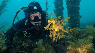 Meet the people connected by the Great Southern Reef