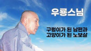 우룡스님 법문 - 구렁이가 된 남편과 고양이가 된 노보살